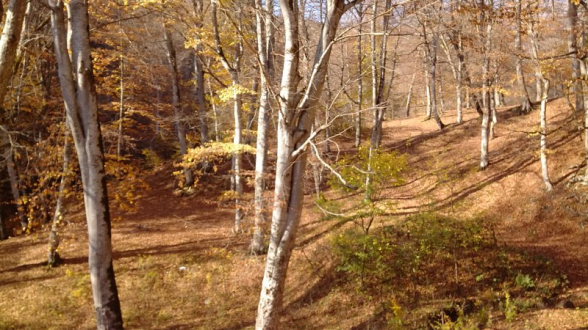 Դեկտեմբերի 6-ի ցերեկը, 7-11-ը սպասվում է առանց տեղումների եղանակ