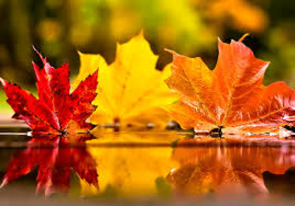 Դեկտեմբերի 7-ի ցերեկը, 8-12 եղանակը էապես չի փոխվի