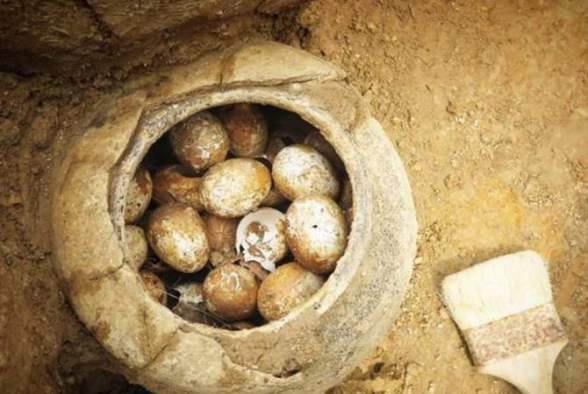 Չինական դամբարանում հնագետները 500 տարվա վաղեմության հավկիթներ են հայտնաբերել