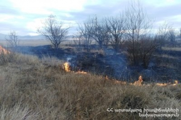 Խոշոր հրդեհ՝ հայ-վրացական սահմանին