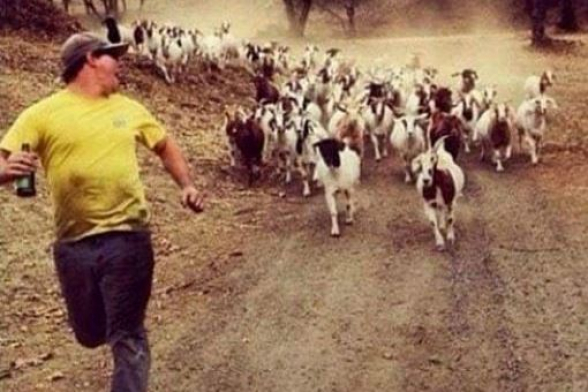 Հայաստանի առաջին քաղաքական ղեկավարն եմ, ով մարաթոնյան մրցավազքում օլիմպիական ռեկորդ է սահմանել