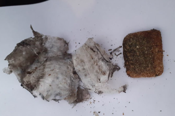 «Վանաձոր» և «Կոշ» քրեակատարողական հիմնարկներում հայտնաբերվել են թմրամիջոցի նմանվող զանգվածներ