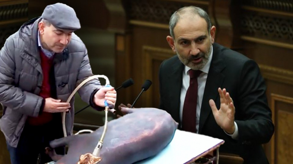 Премьер-«свежеватель» – 7orTV