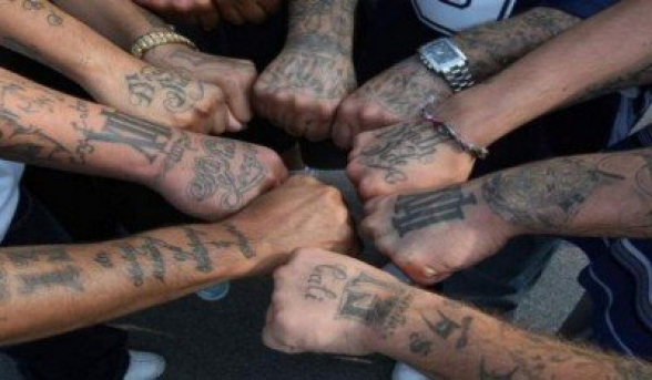 «Գողական մեծ սխոդկա» է սպասվում. «Իրավունք»