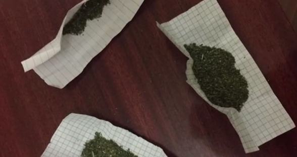 Մարիխուանայի իրացման դեպք է բացահայտվել․ մեկ անձ ձերբակալվել է (տեսանյութ)