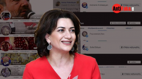 218 ֆեյքեր, որոնք ֆեյսբուքում աջակցում են Աննա Հակոբյանին (լուսանկար)