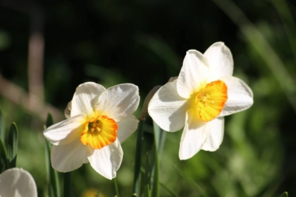 Ապրիլի 3-ի կեսօրից հետո, 4-ին, 6-7-ը շրջանների զգալի մասում ժամանակ առ ժամանակ սպասվում է կարճատև անձրև