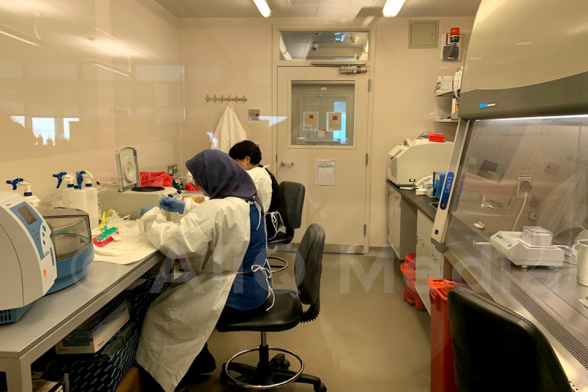 Число зараженных коронавирусом в Грузии выросло до 188