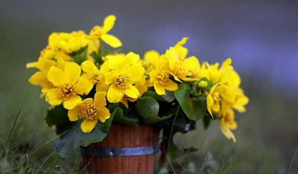 Օդի ջերմաստիճանն ապրիլի 9-ի գիշերը կնվազի 2-3 աստիճանով, 10-11-ին՝ գիշերը, կբարձրանա 7-9, ցերեկը՝  3-4 աստիճանով