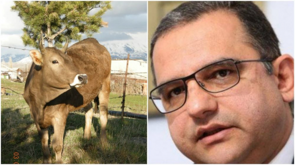 Նոյեմբերյանի անասնաբույժները հունվարից աշխատավարձ չեն ստացել