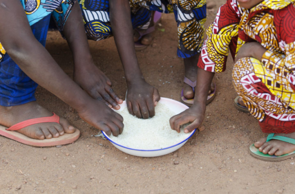 Коронавирус может привести к увеличению числа голодающих в Западной Африке – ООН