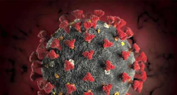 Ребенок зараженной коронавирусом женщины умер через 3 дня после рождения