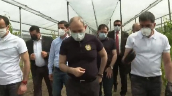 Ես գիտեմ՝ ինչու է էս ծառը բերք տվել, մյուսները ոչ. էս ծառի տերը վերևներում ծանոթ ունի, դեպուտատի բարեկամ է. Փաշինյան (տեսանյութ)