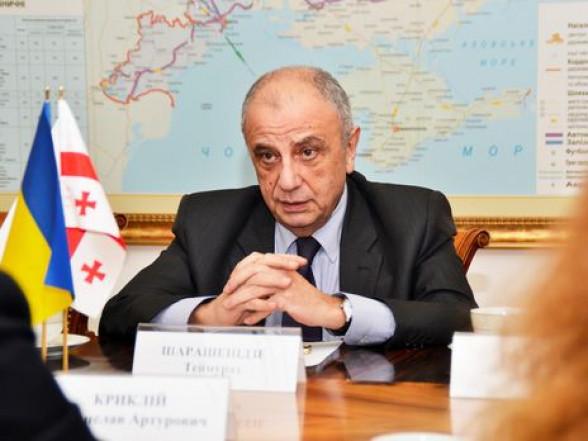 Грузия ждет от Украины шагов по нормализации для возвращения посла в Киев