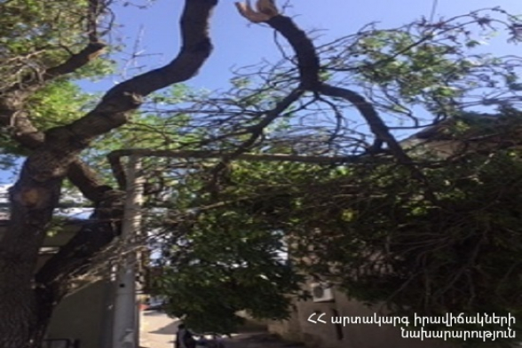 Երևանի Նար-Դոսի փողոցում ծառը կոտրվել և ընկել է էլեկտրական լարերի վրա