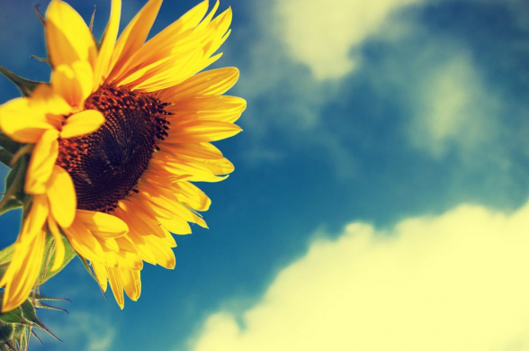 Օդի ջերմաստիճանը մայիսի 27-29-ը՝ ցերեկը աստիճանաբար կբարձրանա 4-6 աստիճանով