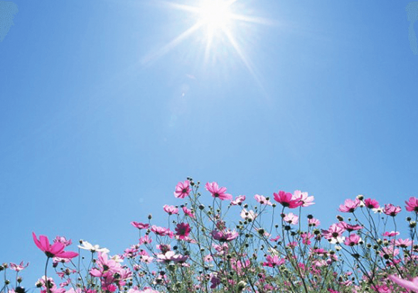 Օդի ջերմաստիճանը մայիսի 28-29-ի ցերեկն աստիճանաբար կբարձրանա 2-3 աստիճանով