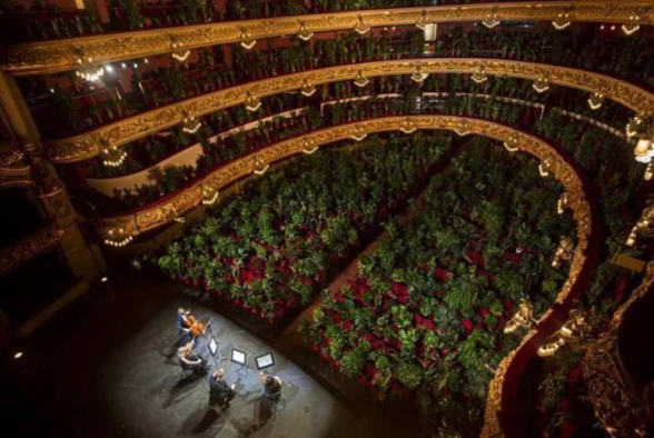 Բարսելոնայի օպերային թատրոնի համերգը… բույսերի համար (լուսանկար, տեսանյութ)
