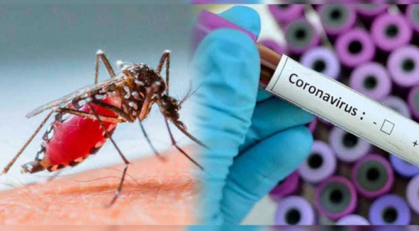 Ученые в Италии опровергли один из мифов о коронавирусе
