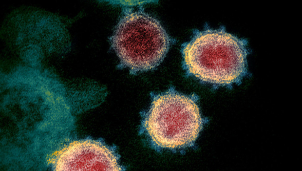 В Южной Корее обнаружен очень заразный штамм коронавируса