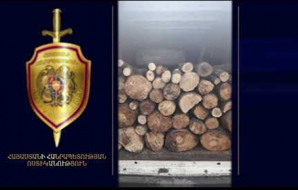 Սպիտակի ոստիկանները ապօրինի ծառահատման դեպք են բացահայտել (տեսանյութ)