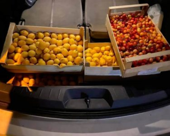 Ծիրանավառված պատերազմում էլ՝ ինչպես պատերազմում