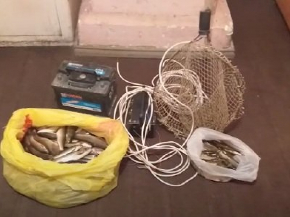 Նոր Հաճնի ոստիկանները որսագողության դեպք են բացահայտել (տեսանյութ)