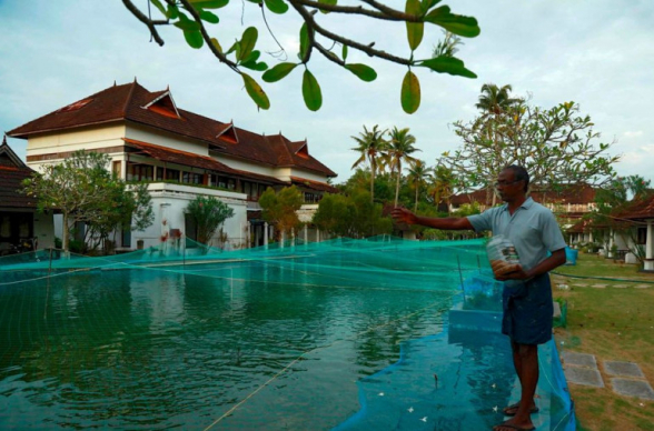 Հնդկաստանում համավարակի պատճառով հանգստյան գոտու շքեղ լողավազանը վերածել են ձկնաբուծարանի