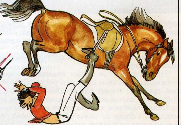 Կյանքը բումերանգ է. այսօր Տիգրիսի վրա ես, վաղը կարող է հայտնվես Տիգրիսի սմբակների տակ