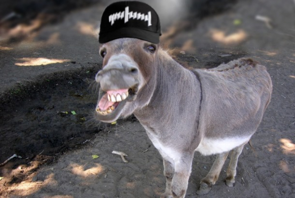 Էշը, որ էշ է` երկրորդ անգամ նույն ցեխը չի մտնում