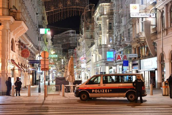 Ռուսաստանը և Ավստրիան կուժեղացնեն համագործակցությունը ահաբեկչության դեմ պայքարում