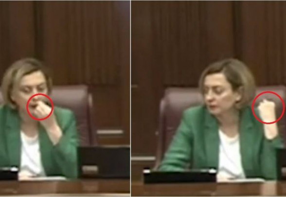 Հասկանո՞ւմ եք՝ ինչ է ասում ԱԺ բարձրագույն ամբիոնին նստած քիթ փորողը