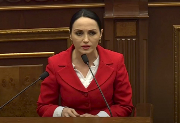 Мать Лусине Бадалян облила требующих отставки ее дочери граждан кипятком (видео)