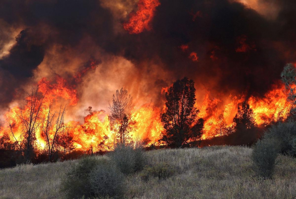 Հաղարծին գյուղում մոտ 18 տոննա անասնակեր է այրվել