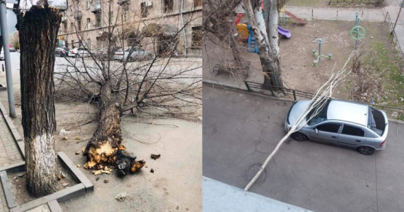 Այսօրվա քամու հետևանքներն են (լուսանկար)