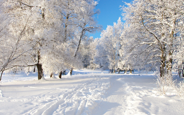Հանրապետության տարածքում՝  փետրվարի 24-ի ցերեկը, 25-ի գիշերը առանձին շրջաններում սպասվում է ձյուն