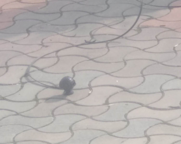 Ազգային ժողովի տարածքում լուսաձայնային նռնակներ են տեղադրել