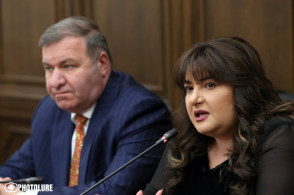 Սյունիքի դարպասները բաց են թշնամու առաջ, փոխարենը՝ ժողովրդի առաջ զոդում են ԱԺ դարպասները. Իվետա Տոնոյան (տեսանյութ)