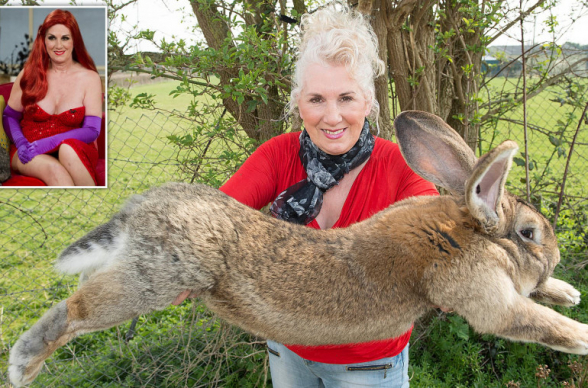 22 կգ. Մեծ Բրիտանիայում Playboy-ի նախկին մոդելից գողացել են աշխարհում ամենամեծ նապաստակին (լուսանկար)