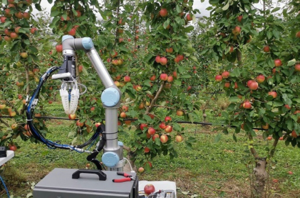 В Австралии создали робота для сбора яблок