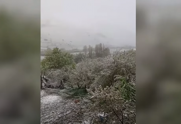 Ճամբարակում ձյուն է տեղացել, ծառերը ծաղկել էին