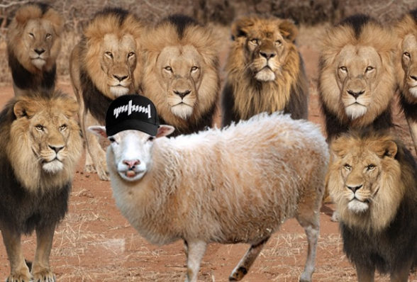 Ելակով վերացրած բանակը