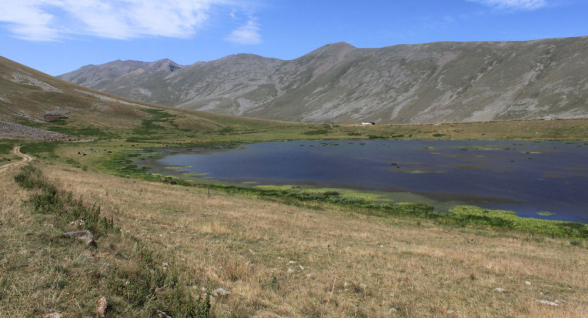 Азербайджанцы продвинулись в направлении села Акнер на 500 метров – староста  