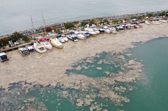 Թուրքիայի հանգստավայրերի լողափերը կեղտաջրերով են պատվել (լուսանկար)