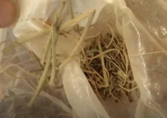 Իրավապահները Նոր Նորքի բնակարաններից մեկում թմրամիջոցի նմանվող զանգվածներ են հայտնաբերել