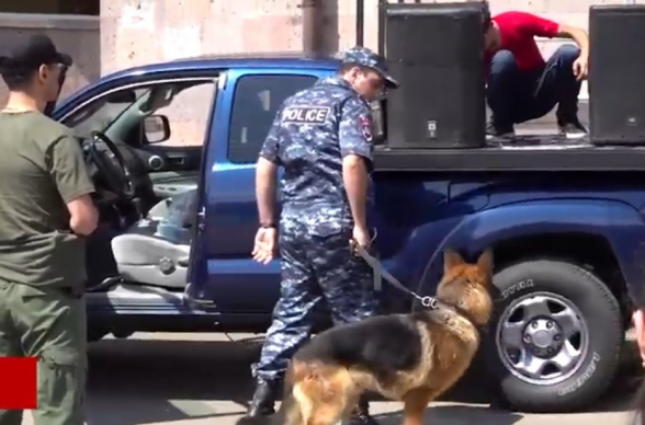 Ոստիկանական շները Փաշինյանի «բեմի» տակ ռումբ էին ման գալիս․ ուշագրավ տեսանյութ