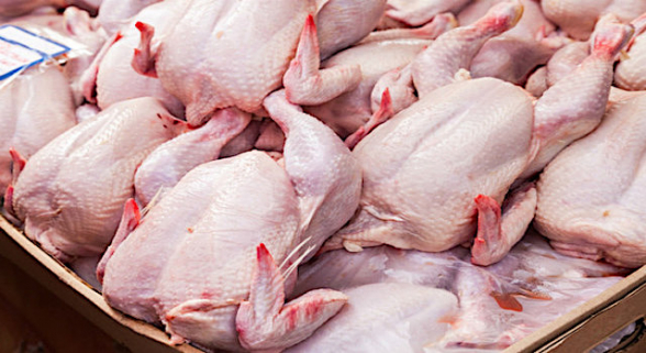 В Грузию импортирована опасная для здоровья партия курятины