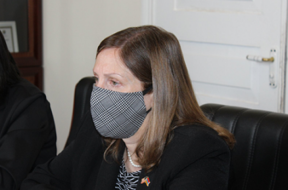 ՀՀ-ում ԱՄՆ դեսպանը հանդիպել է Հայաստան դաշինքի կազմում ընդգրկված կուսակցությունների ղեկավարներին