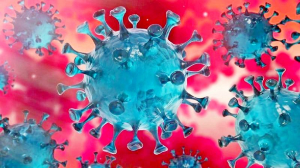 Число инфицированных коронавирусом в Грузии увеличилось за сутки на 2460