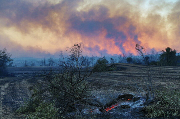 Թուրքիայում անտառային հրդեհների համար մեղադրում են ՔԱԿ-ի զինյալներին (լուսանկար)